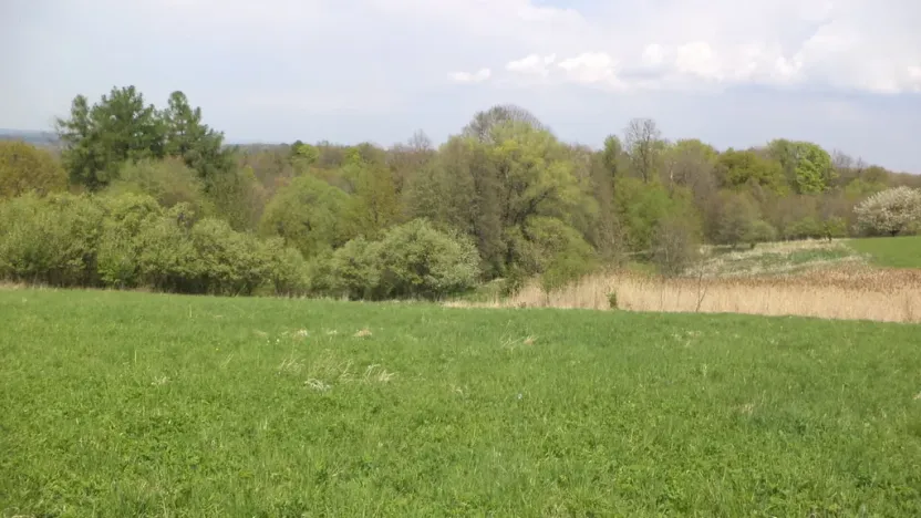 Prodej pozemku, Chotěbuz, 6967 m2