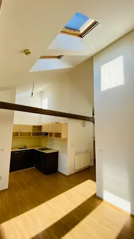 Pronájem bytu 2+kk, Brno, Ptašínského, 53 m2