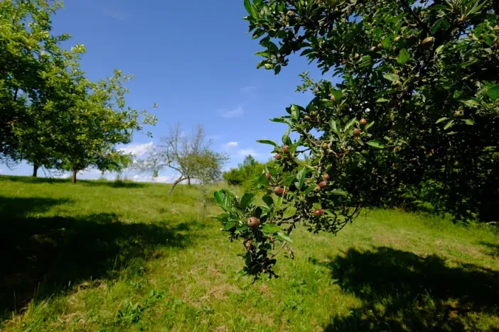 Prodej zahrady, Uherský Brod, 2032 m2