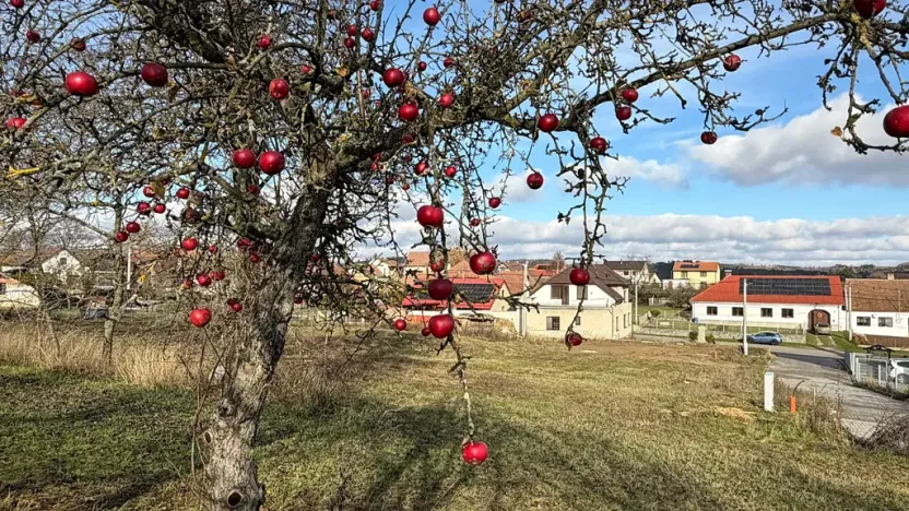 Prodej pozemku pro bydlení, Tišnovská Nová Ves, 1095 m2