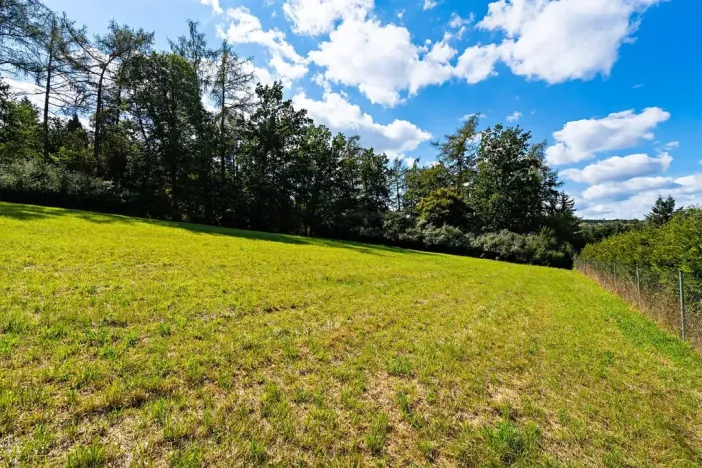 Prodej pozemku pro bydlení, Plasy, 3866 m2