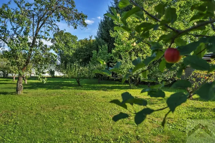 Prodej rodinného domu, Hradec Králové, Vlčkovická, 256 m2