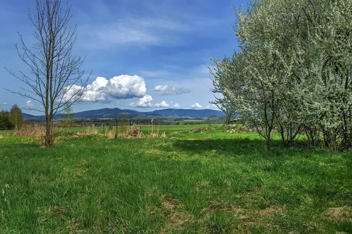 Prodej chalupy, Králíky, 254 m2