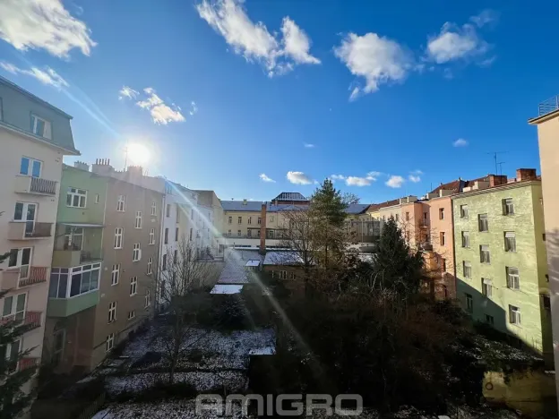 Pronájem bytu 1+1, Brno, Cihlářská, 49 m2