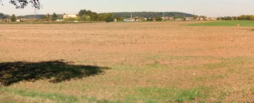 Prodej zahrady, Čankovice, 36139 m2