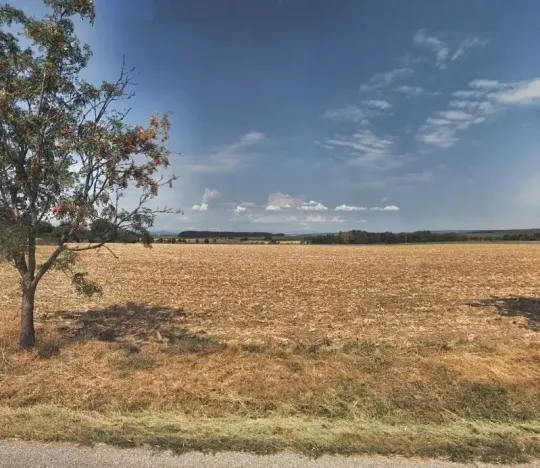 Prodej pole, Žlunice, 8419 m2