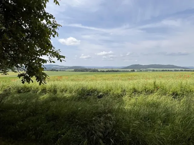 Prodej rodinného domu, Gruna, 851 m2