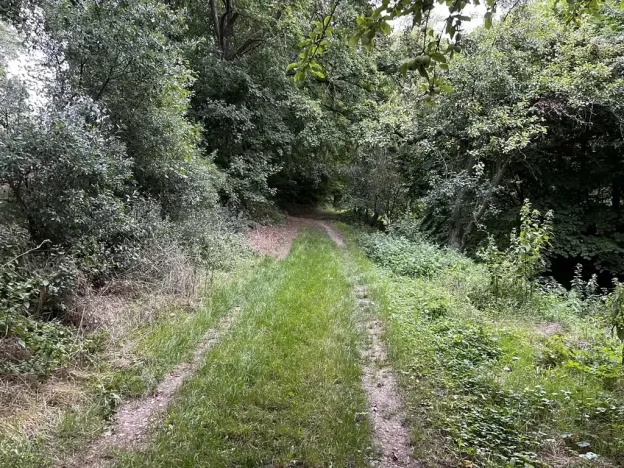 Prodej zahrady, Oslavany, 3447 m2