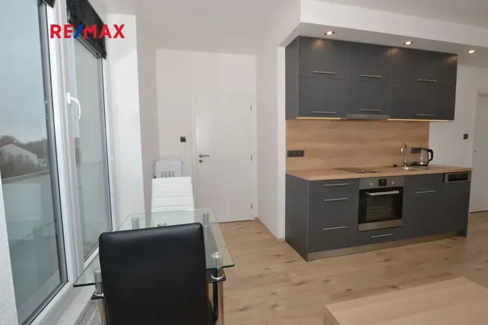 Pronájem bytu 1+kk, Plzeň, Na Roudné, 41 m2