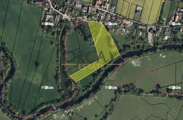 Prodej louky, Běleč nad Orlicí, 15624 m2