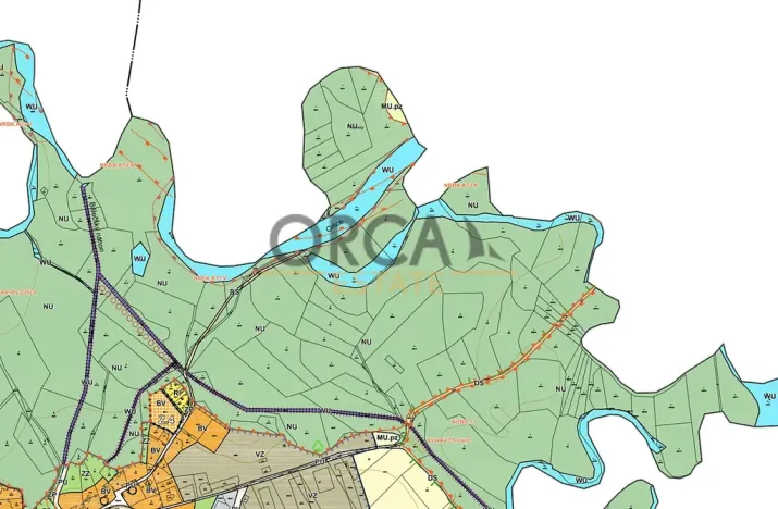 Prodej louky, Běleč nad Orlicí, 15624 m2