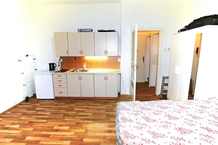 Pronájem bytu 1+kk, Praha - Nové Město, Na zbořenci, 24 m2