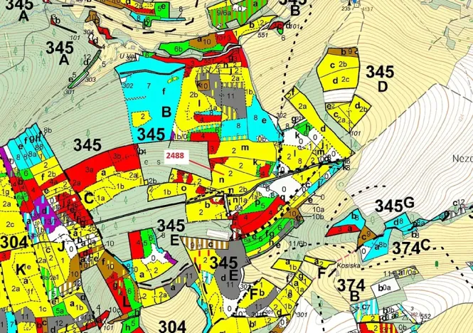 Dražba lesa, Kateřinice, 10174 m2