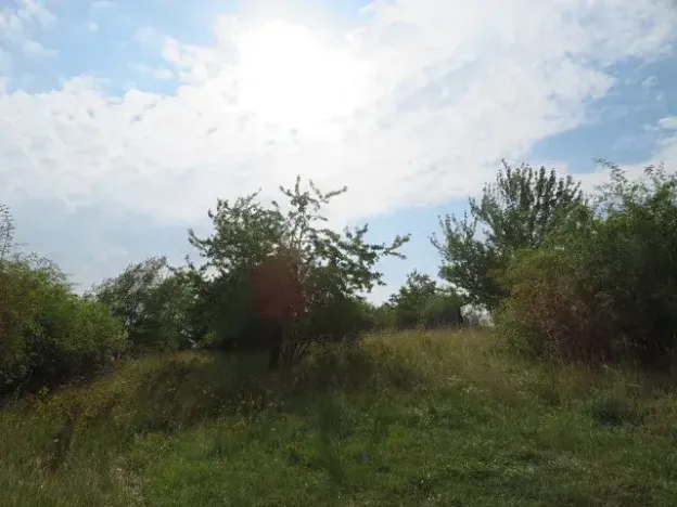 Dražba zahrady, Ploskovice, 23378 m2