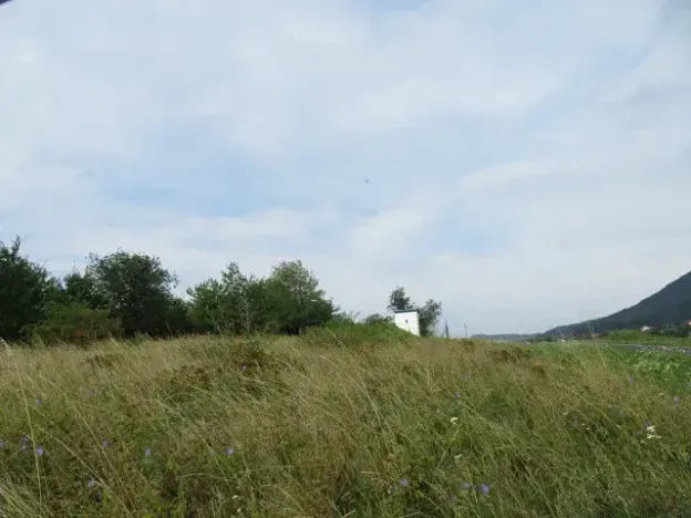 Dražba zahrady, Ploskovice, 23378 m2