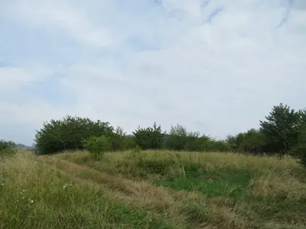 Dražba zahrady, Ploskovice, 23378 m2