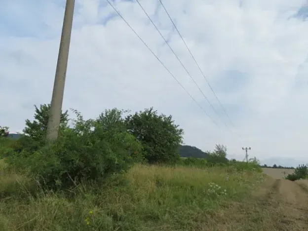 Dražba zahrady, Ploskovice, 23378 m2
