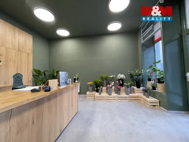 Prodej rodinného domu, Louny, Pražská, 173 m2