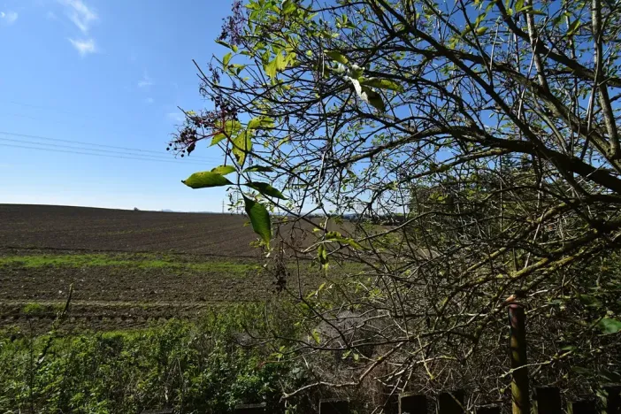 Prodej chaty, Přestavlky u Čerčan, 50 m2