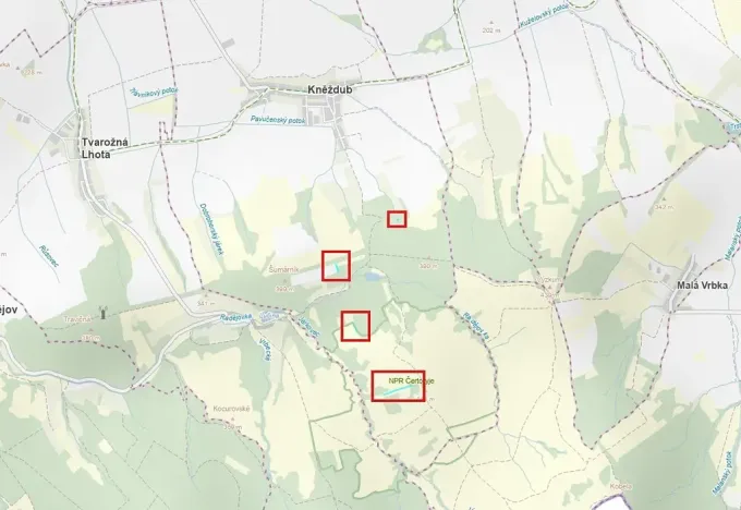 Prodej louky, Kněždub, 6886 m2