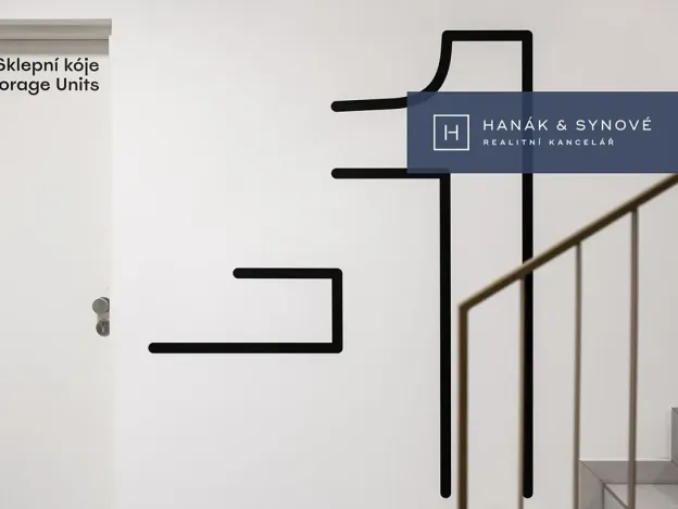 Pronájem bytu 1+kk, Brno, Cejl, 36 m2