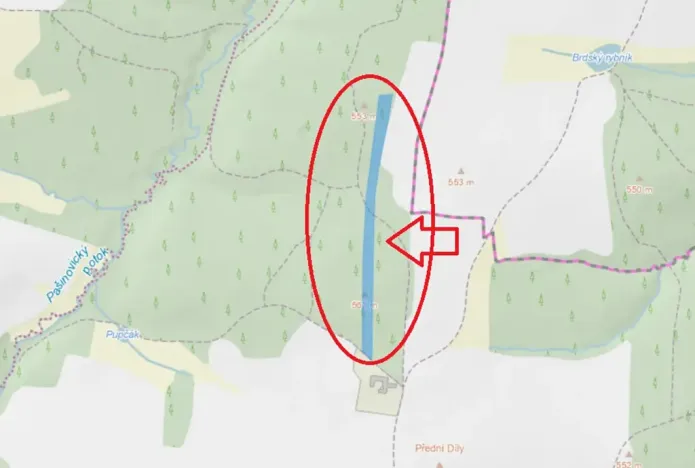 Prodej lesa, Ločenice, 11790 m2