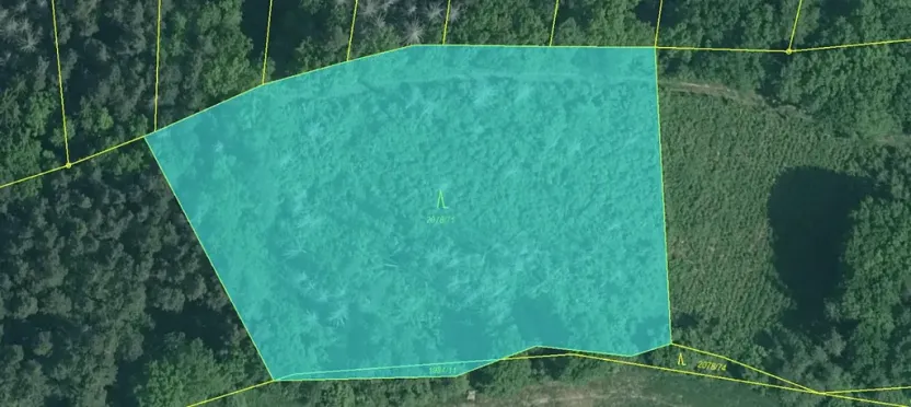 Prodej pozemku, Boršov nad Vltavou, 7673 m2