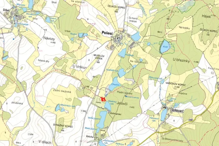 Prodej lesa, Počátky, 4120 m2