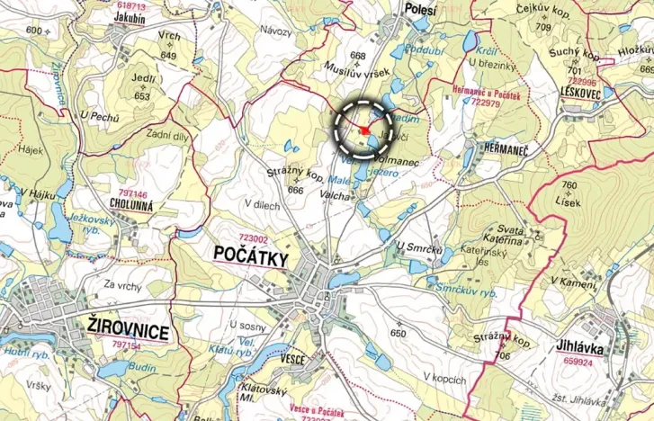 Prodej lesa, Počátky, 4120 m2