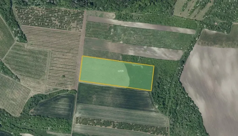 Prodej sadu/vinice, Želkovice, 25653 m2