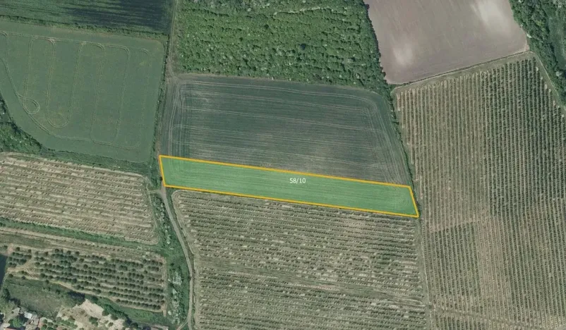 Prodej pole, Želkovice, 7043 m2