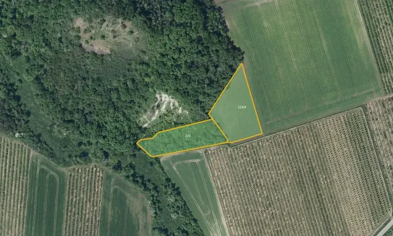 Prodej sadu/vinice, Želkovice, 133318 m2