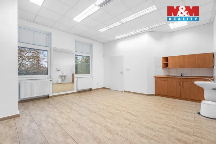 Pronájem obchodního prostoru, Ústí nad Labem - Severní Terasa, Šrámkova, 33 m2