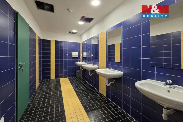 Pronájem kanceláře, Karlovy Vary - Rybáře, Sedlecká, 374 m2