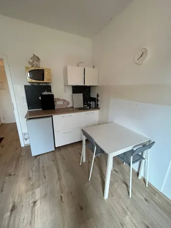 Pronájem bytu 1+kk, Praha - Krč, Budějovická, 20 m2