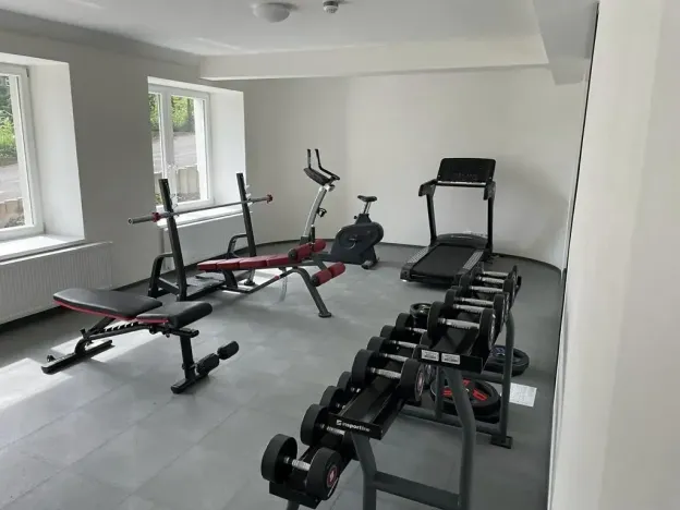 Pronájem bytu 2+kk, Praha - Vinohrady, Perucká, 45 m2