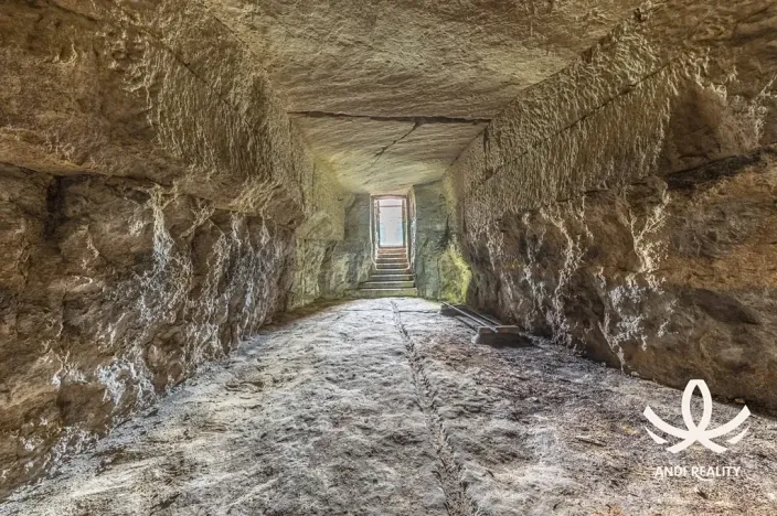 Prodej pozemku pro bydlení, Mladá Boleslav, Ptácká, 222 m2