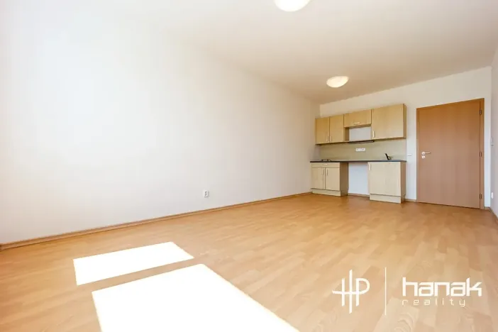 Pronájem bytu 1+kk, Olomouc, Jeremiášova, 36 m2