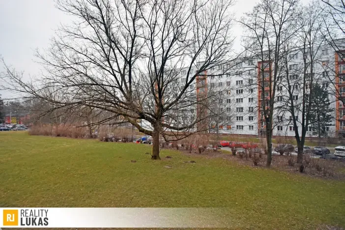 Pronájem bytu 1+kk, Ostrava, Heyrovského, 24 m2