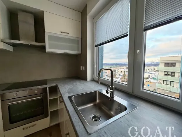 Pronájem bytu 1+kk, Plzeň, Vysoká, 38 m2