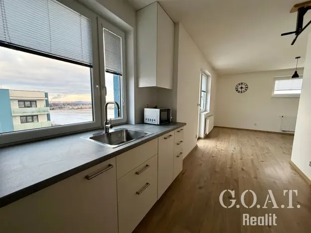 Pronájem bytu 1+kk, Plzeň, Vysoká, 38 m2