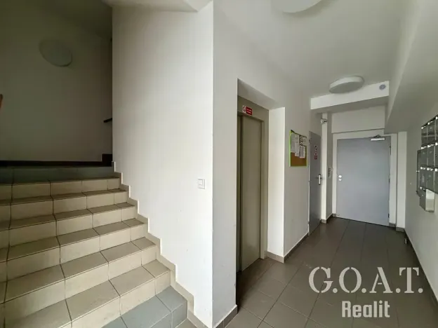 Pronájem bytu 1+kk, Plzeň, Vysoká, 38 m2