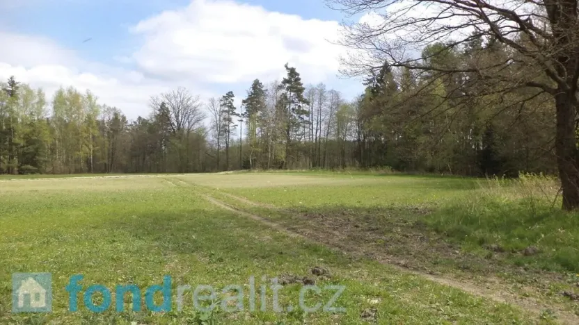 Prodej pozemku, Stráž nad Nežárkou, 6528 m2