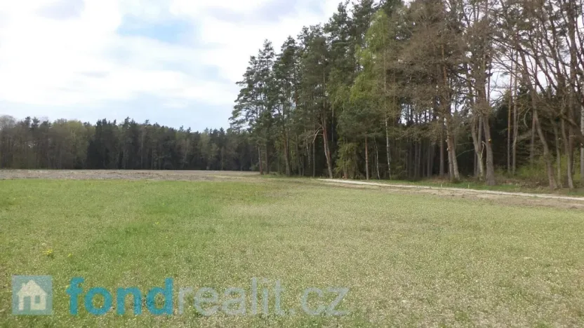 Prodej pozemku, Stráž nad Nežárkou, 6528 m2