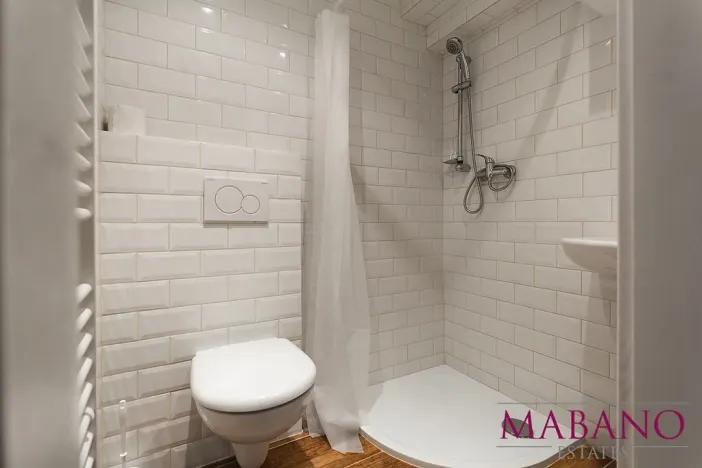 Pronájem bytu 1+kk, Praha - Žižkov, Lucemburská, 24 m2