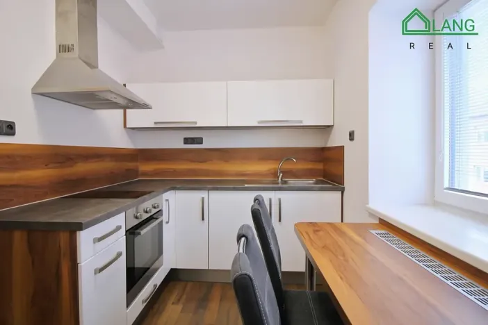 Pronájem bytu 1+1, Brno, Jeneweinova, 47 m2