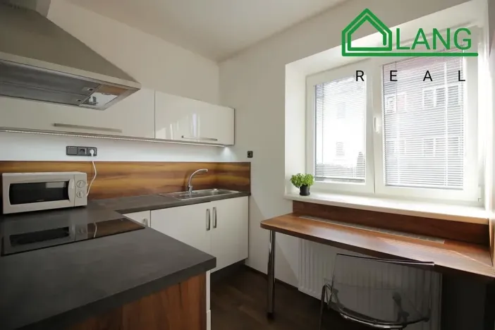 Pronájem bytu 1+1, Brno, Jeneweinova, 47 m2