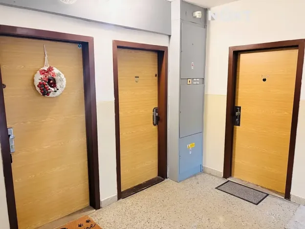 Pronájem bytu 2+kk, České Budějovice, J. Bendy, 41 m2