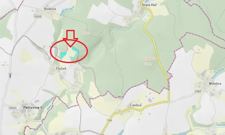 Prodej lesa, Petrovice II, 11117 m2