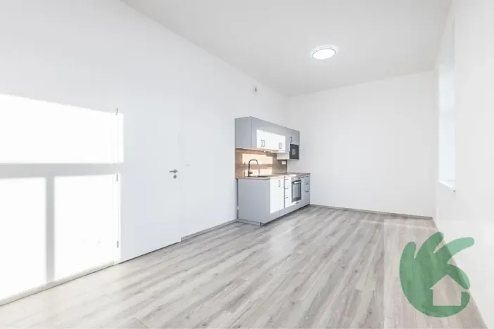 Pronájem bytu 1+kk, Kralupy nad Vltavou, S. K. Neumanna, 38 m2